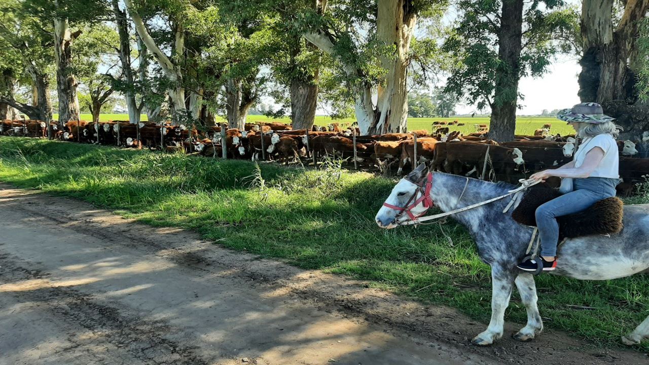 Cabalgata Y Dia De Campo (10)