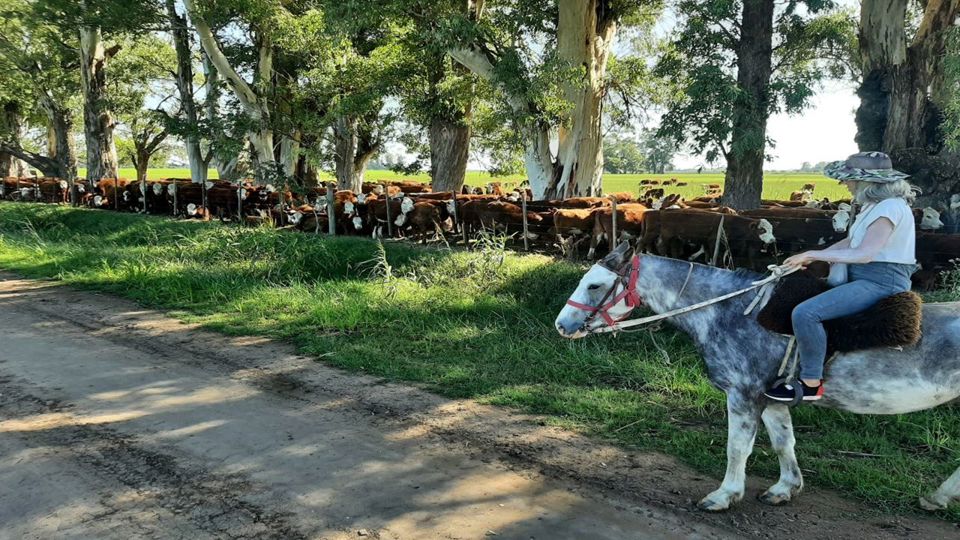 Farm Day with Horseback Riding & Traditional Lunch foto 11