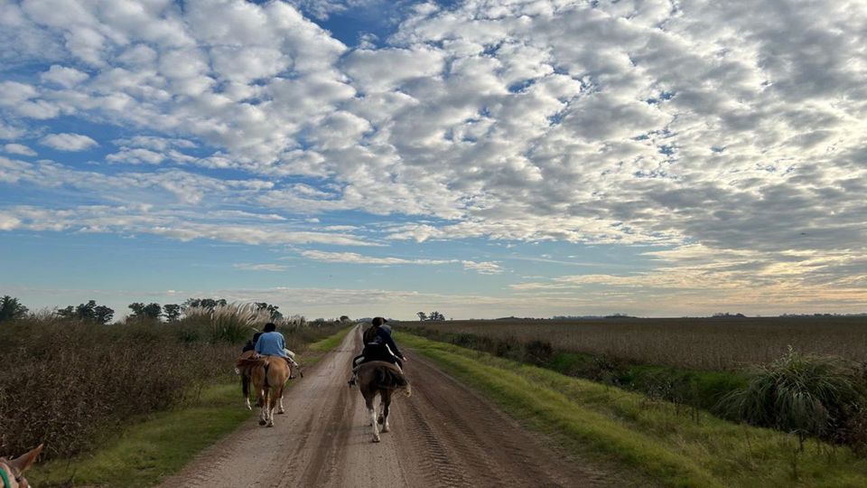 Farm Day with Horseback Riding & Traditional Lunch foto 7