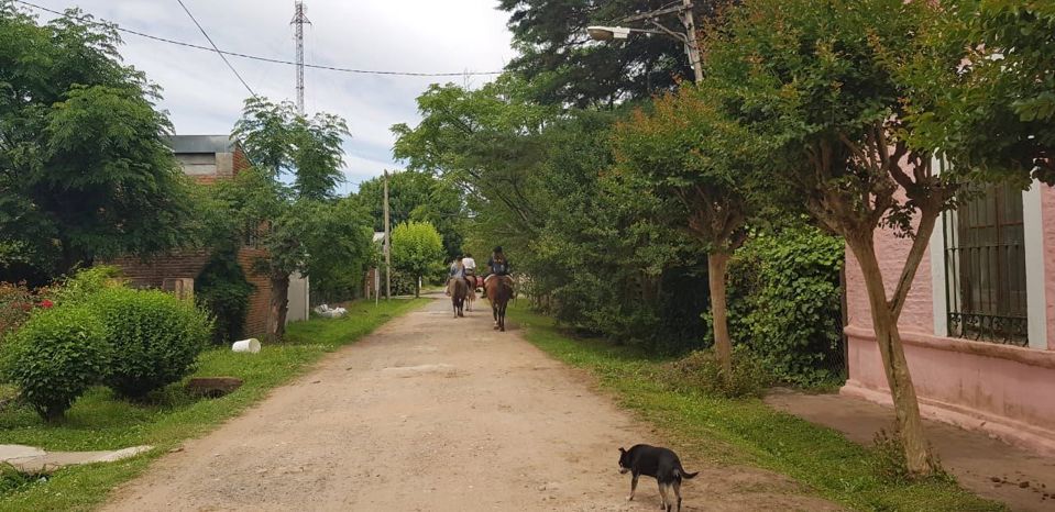 Farm Day with Horseback Riding & Traditional Lunch foto 6