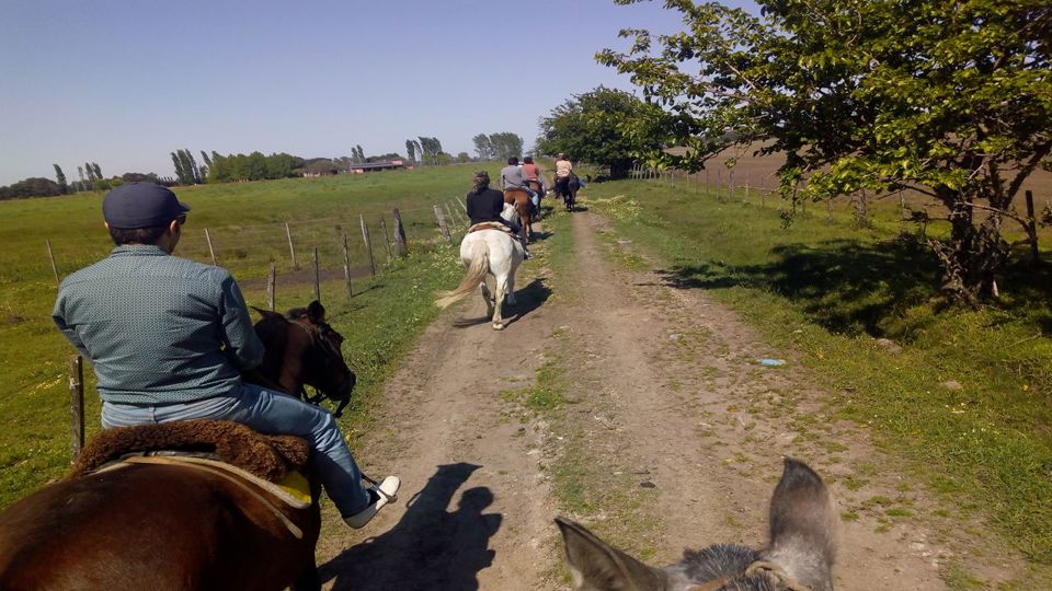 Farm Day with Horseback Riding & Traditional Lunch foto 2