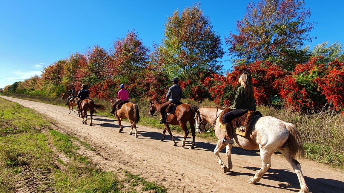 Cabalgata Y Dia De Campo (3)