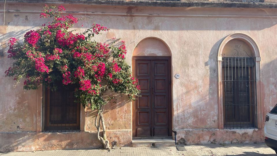 Colonia Day Trip with City Tour foto 4