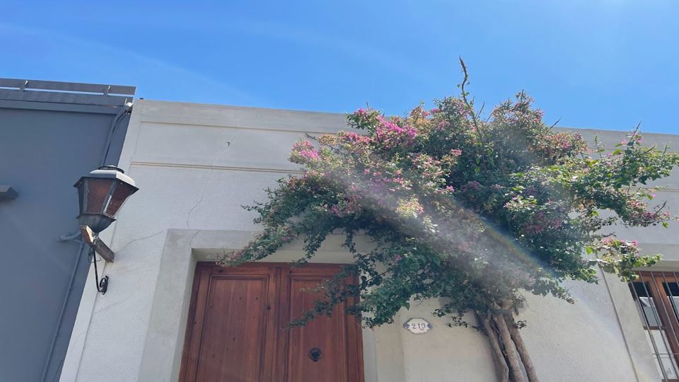 Luxury Colonia Day Trip: Lunch & Free Walking Tour foto 3