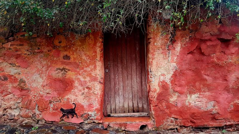 Must-see Colony In One Day (0)