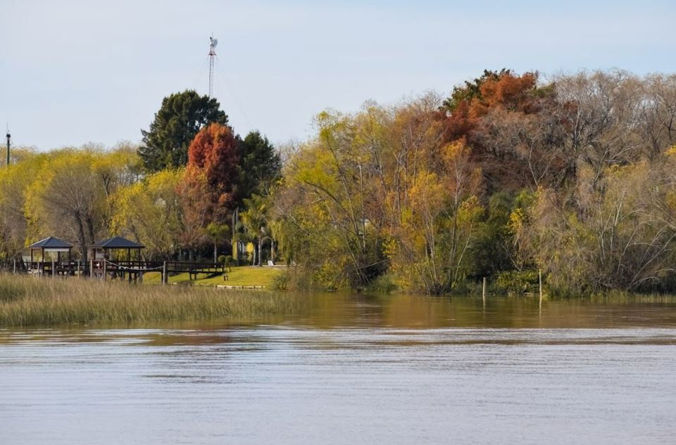 Half-Day at Tigre with Delta Boat Navigation foto 3