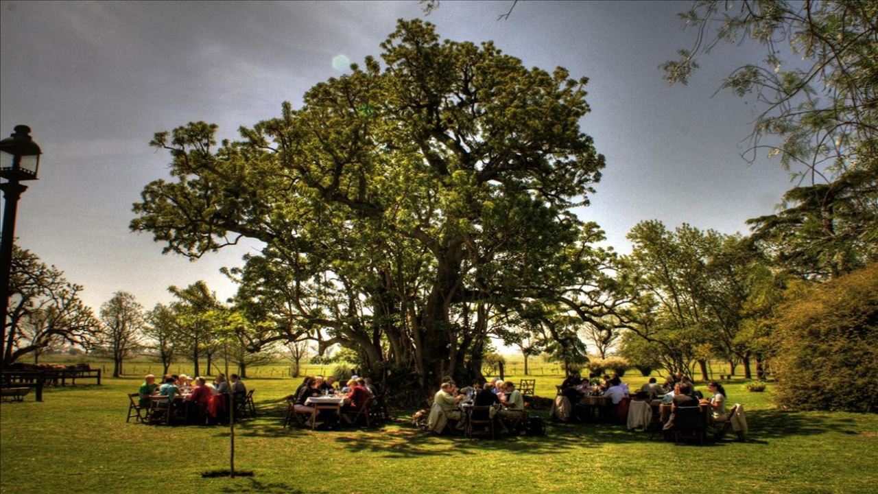 Country Day At The Ranch El Ombu De Areco (1)