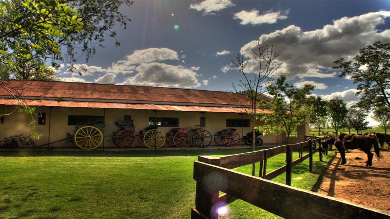 Country Day At The Ranch El Ombu De Areco (3)