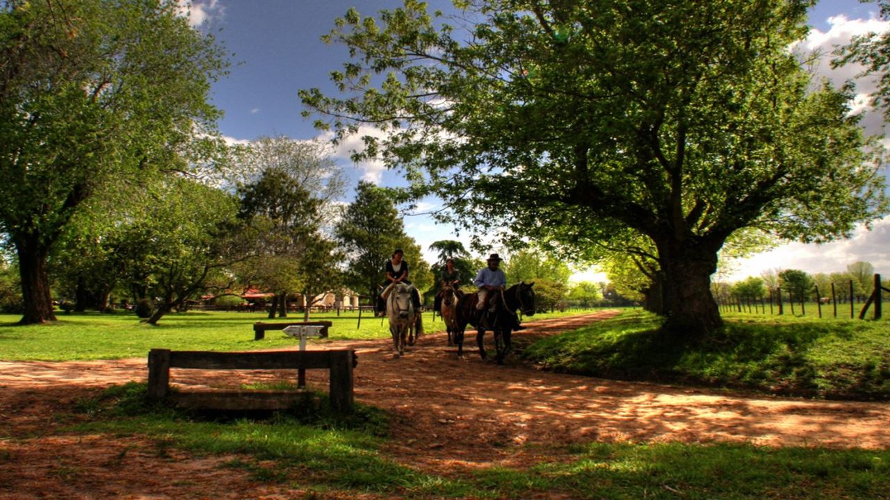 Country Day At The Ranch El Ombu De Areco (2)