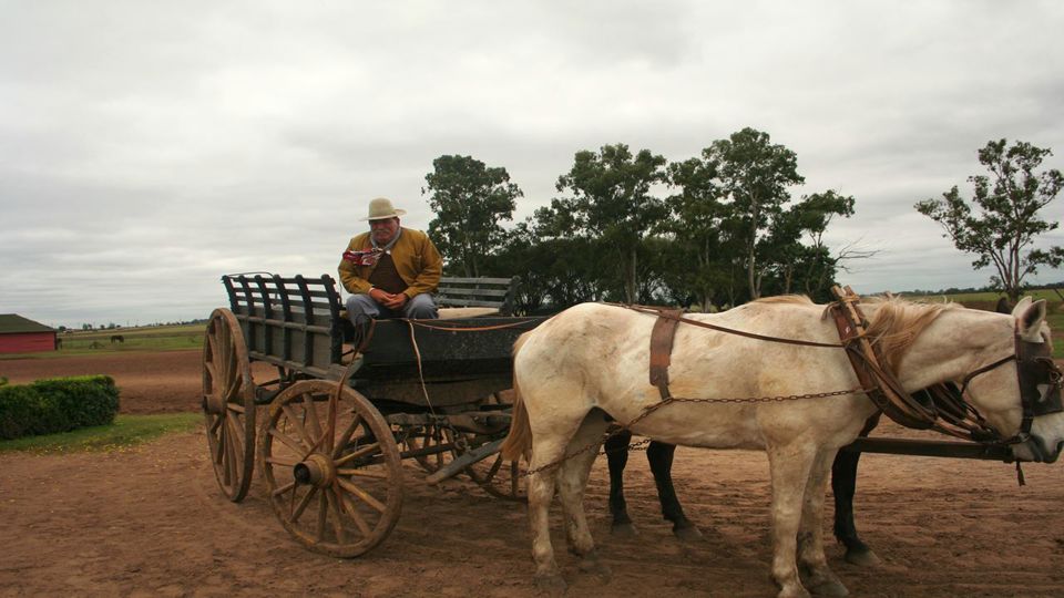 Estância Don Silvano: Dia de Campo com Cavalgada e Almoço foto 2