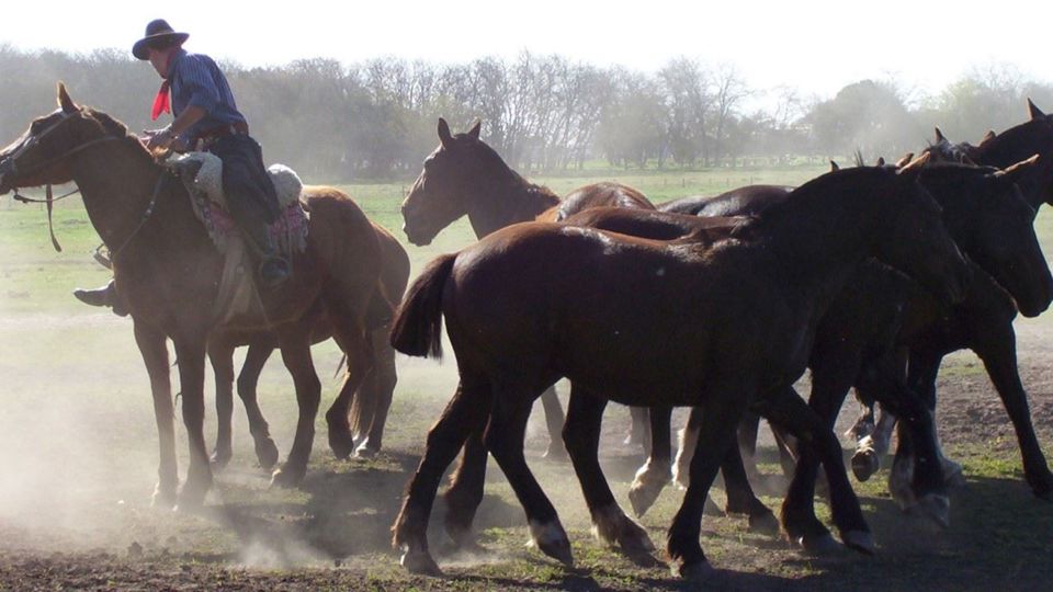 Estância Don Silvano: Dia de Campo com Cavalgada e Almoço foto 10