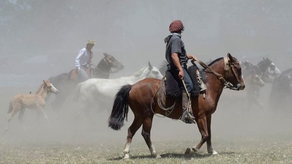 Festa Gaúcha em Santa Susana: Estância com Almoço foto 10