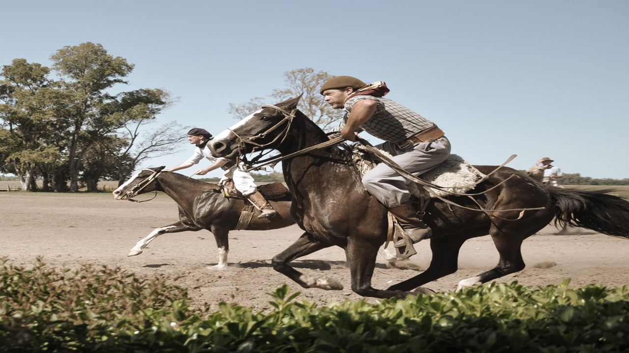 Promo: Tigre Delta + Gaucho Experience (6)