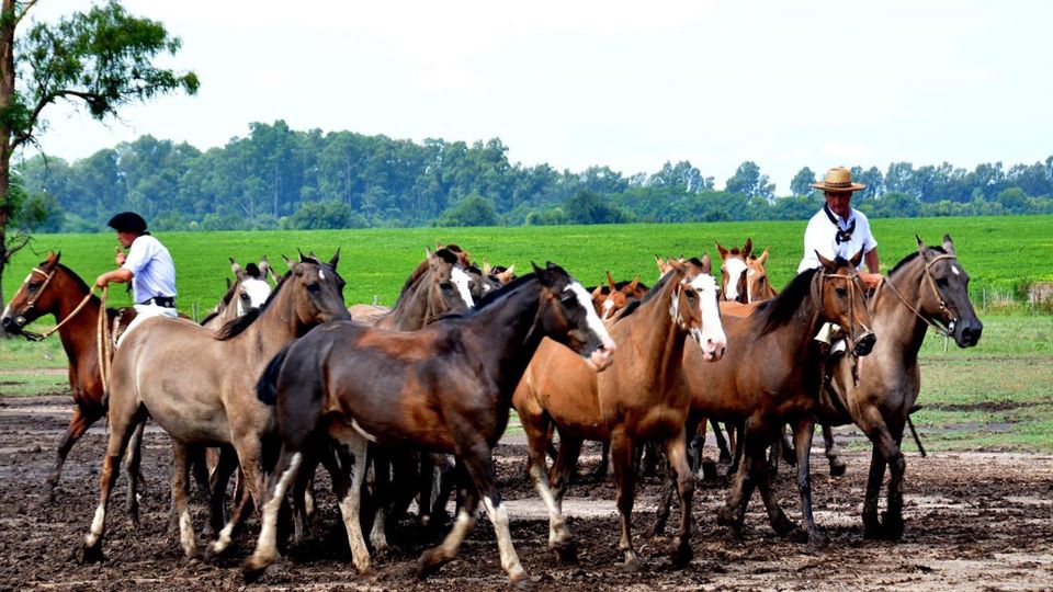 2-Day Combo: Tigre Catamaran + Gaucho Party foto 5