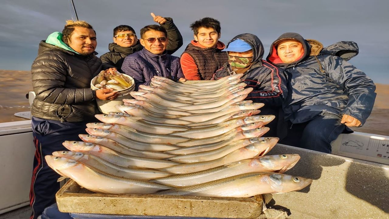 Pesca En El Rio De La Plata (1)