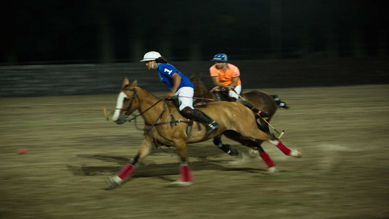 Polo Night (0)