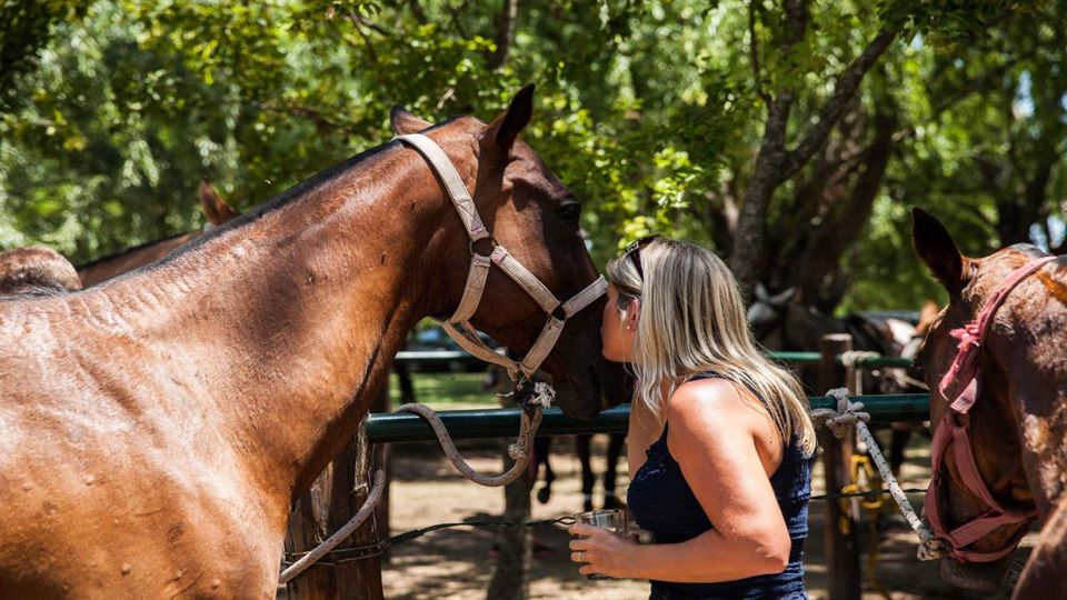 Partido de Polo con Clase y Asado foto 1