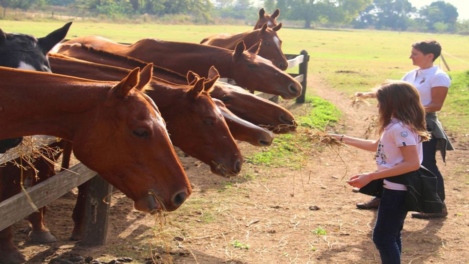 Polo Day at Estancia Villa María foto 3