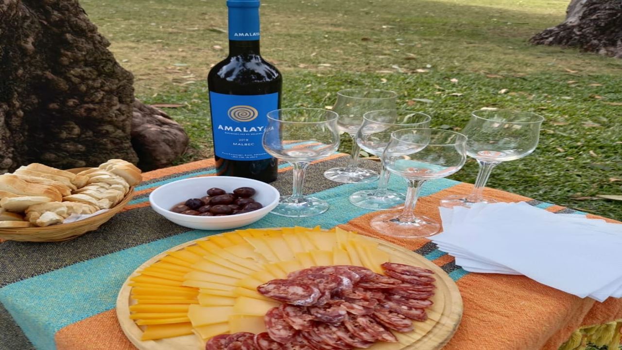 Wine Route By Bicycle (6)