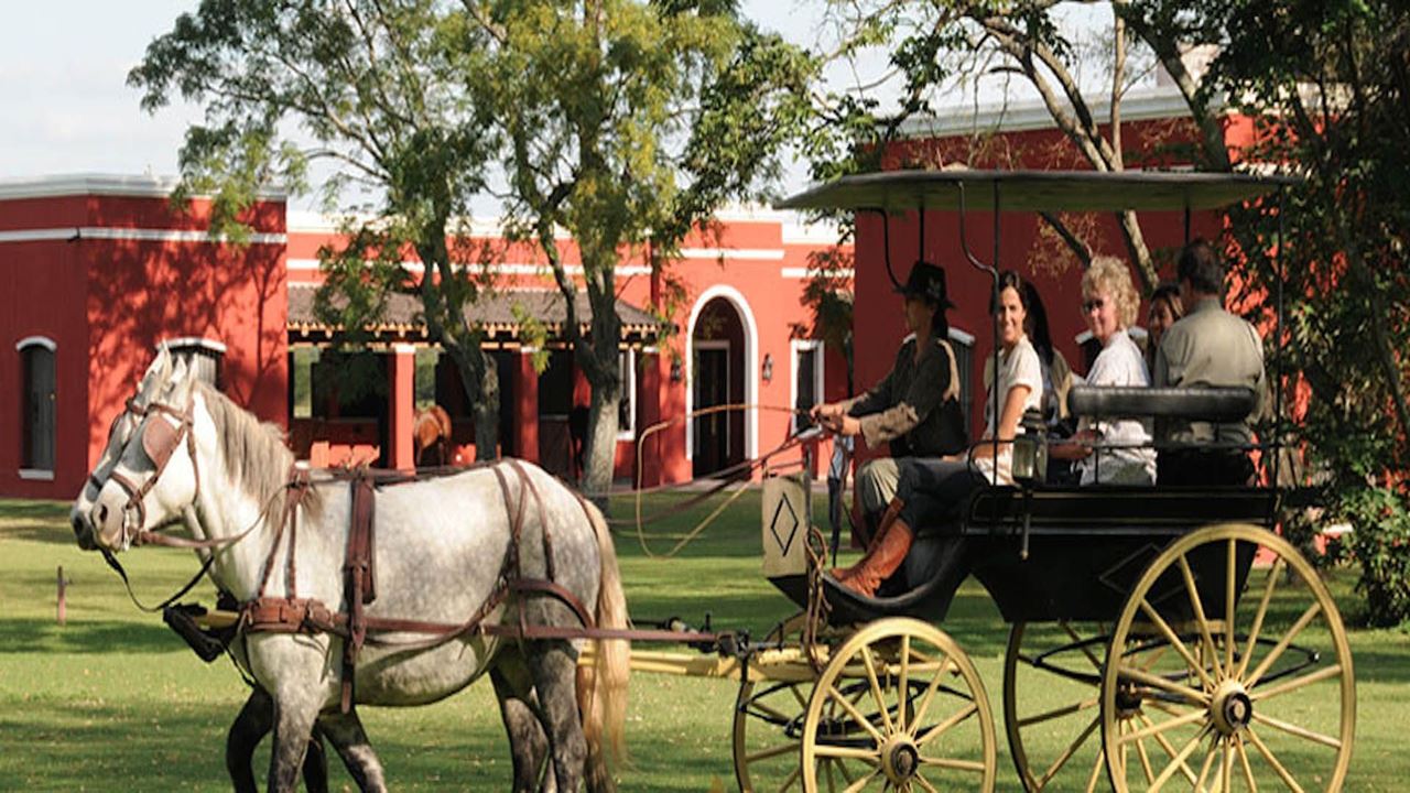 San Antonio De Areco With Stay (2)