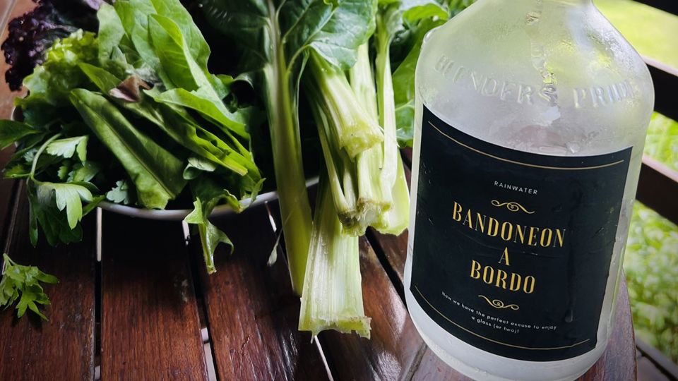 Tango on the River: Tigre Cruise with Lunch & Private Show foto 10