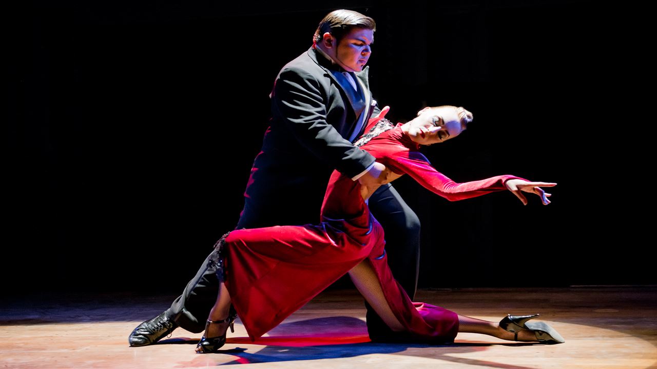 Promo Buenos Aires & Tigre: City Tours, Tango And Gauchos foto 3