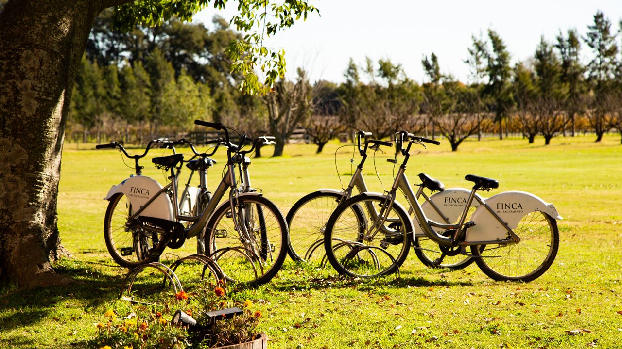Degustación De Vinos Y Picnic En Colonia foto 3