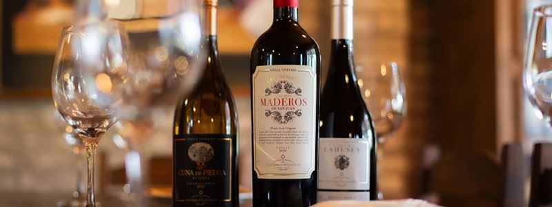 Degustación De Vinos Y Picnic En Colonia foto 5
