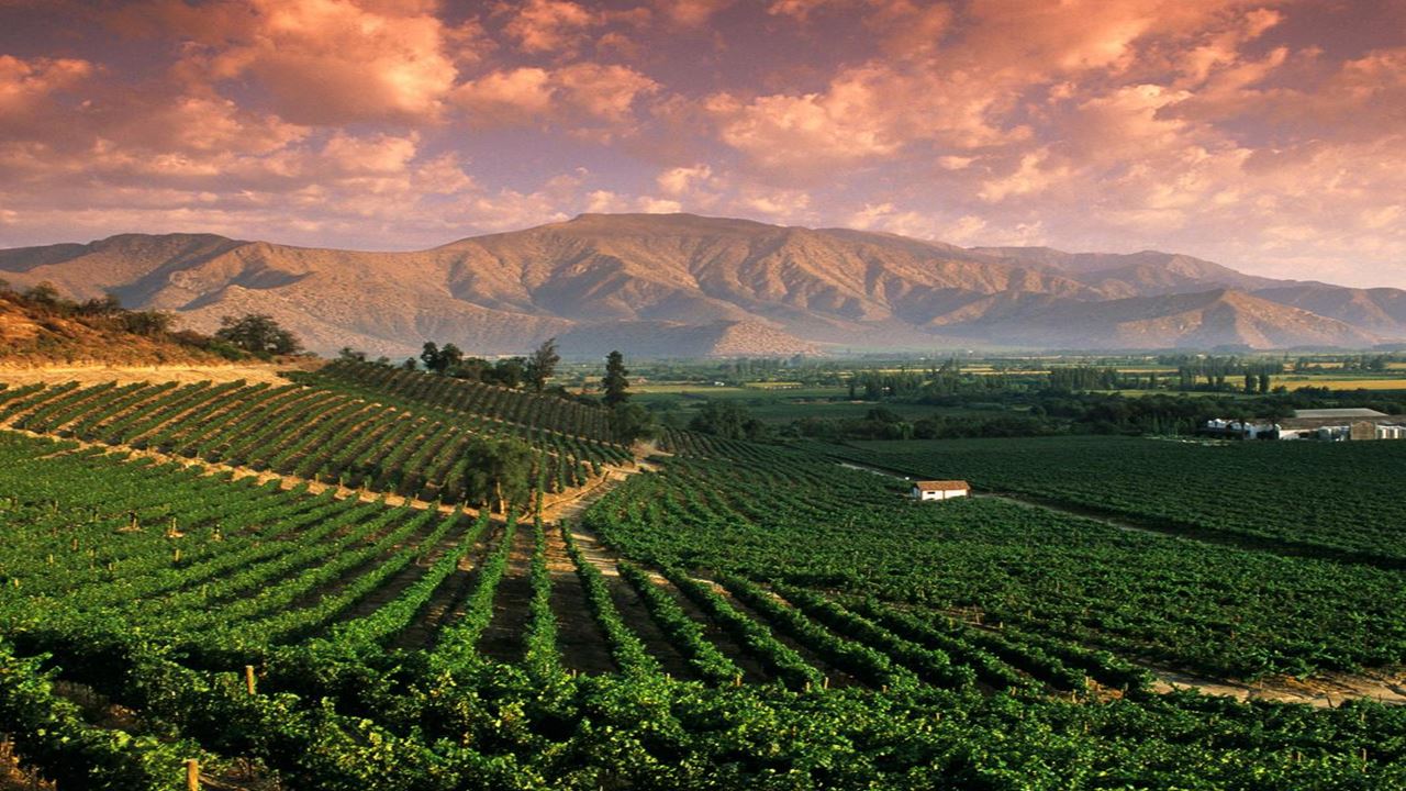 Tango, Vino Y Playas Por Sudamérica foto 2