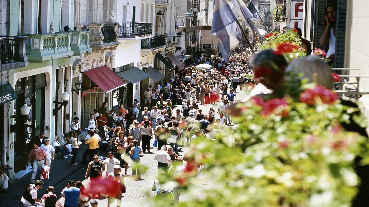 Tour A Las Ferias De San Telmo Y Mataderos (0)