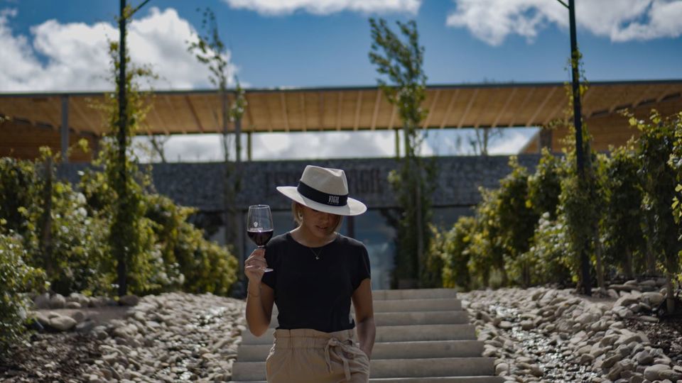 Visit, Tasting And Lunch At Estancia Vigil foto 5