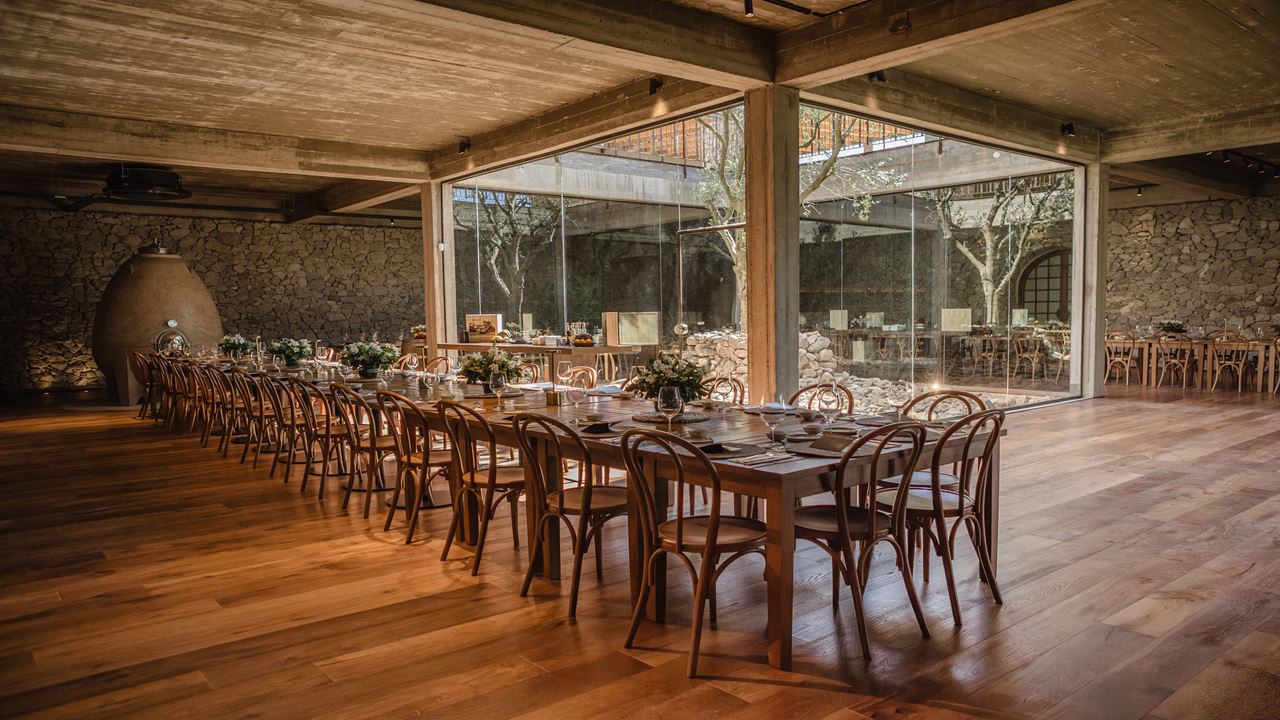 Visit, Tasting And Lunch At Estancia Vigil (2)