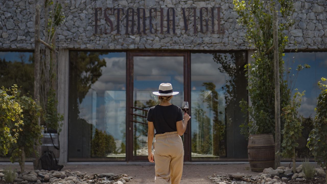 Visit, Tasting And Lunch At Estancia Vigil (3)