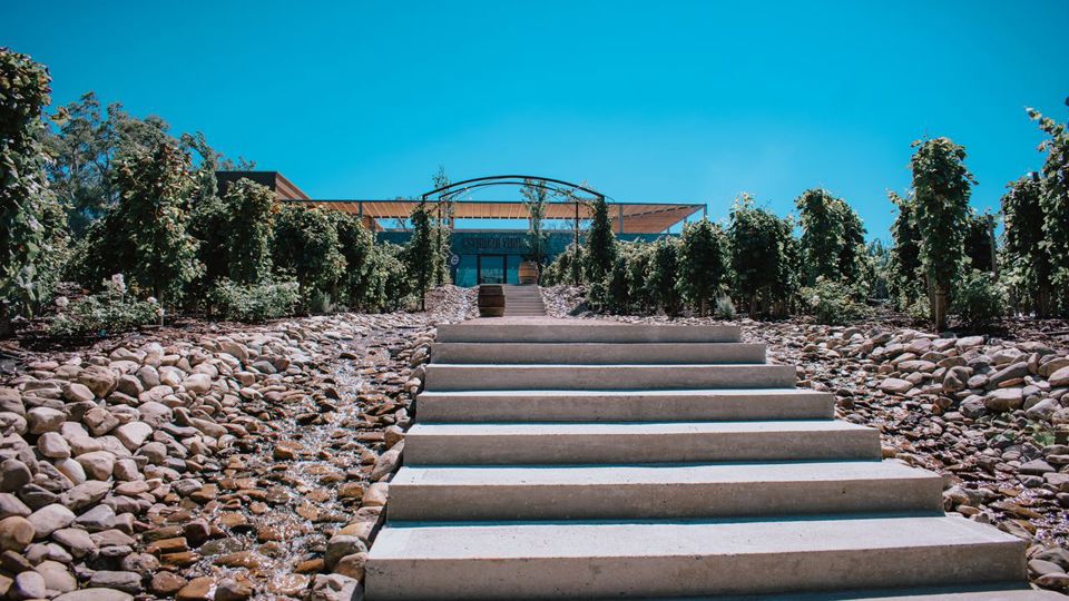 Visit, Tasting And Lunch At Estancia Vigil foto 6