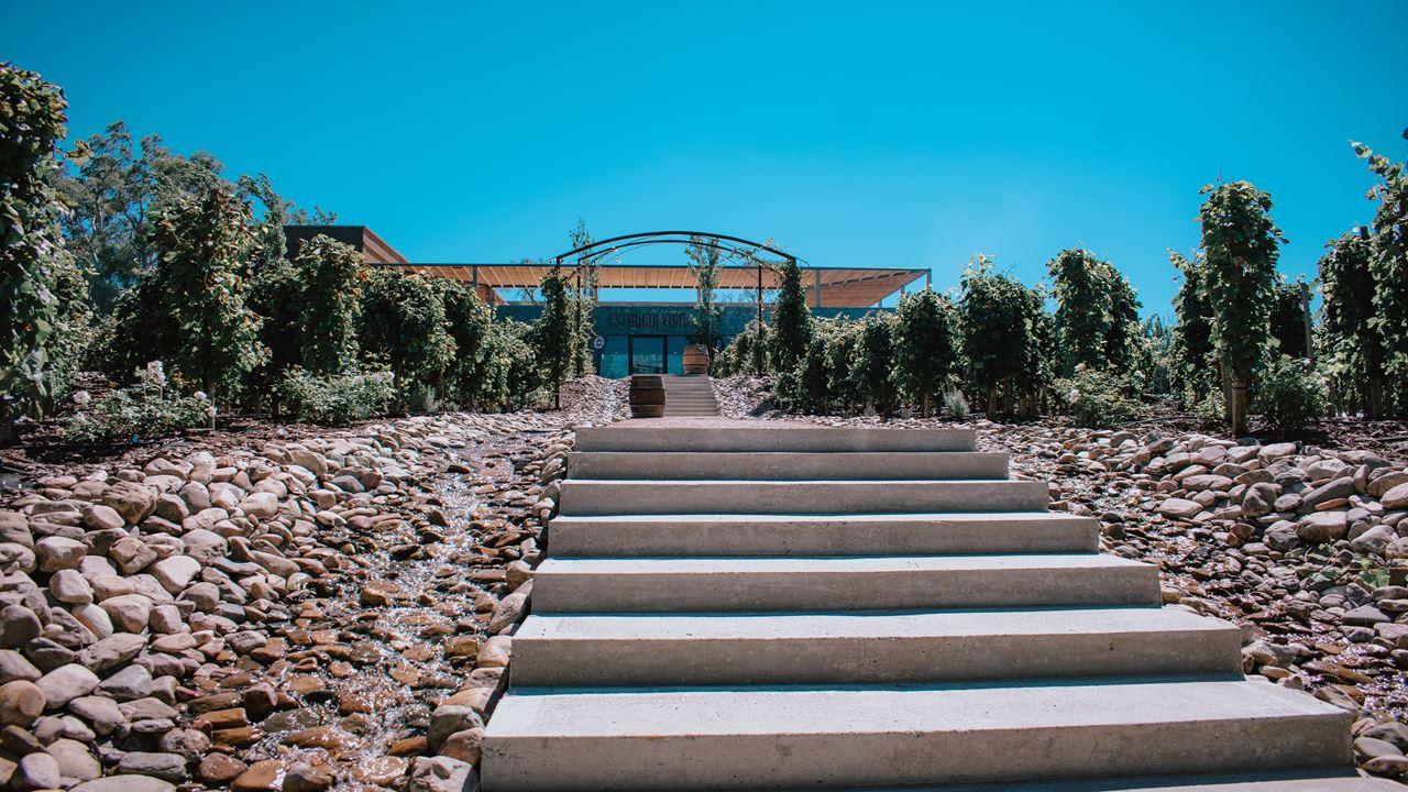 Visit, Tasting And Lunch At Estancia Vigil (5)