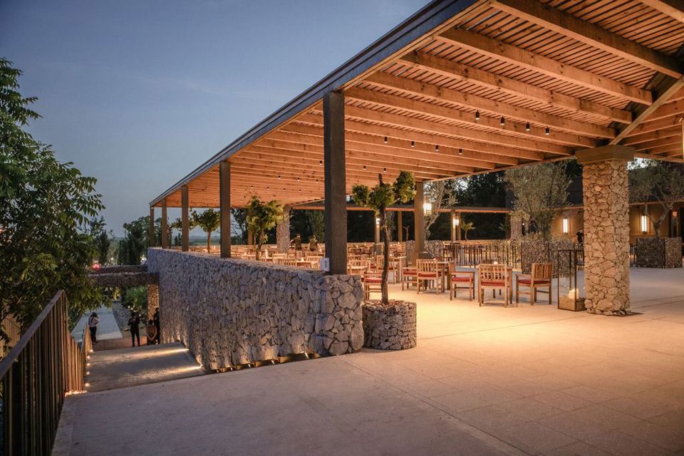 Visit, Tasting And Lunch At Estancia Vigil foto 2