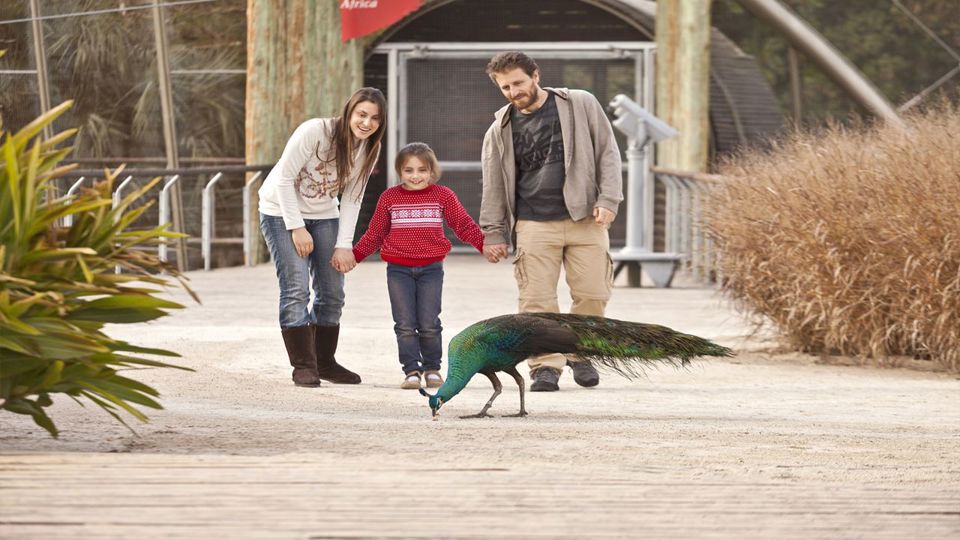 Visita a Bioparque Temaiken con Entrada y Traslado foto 8