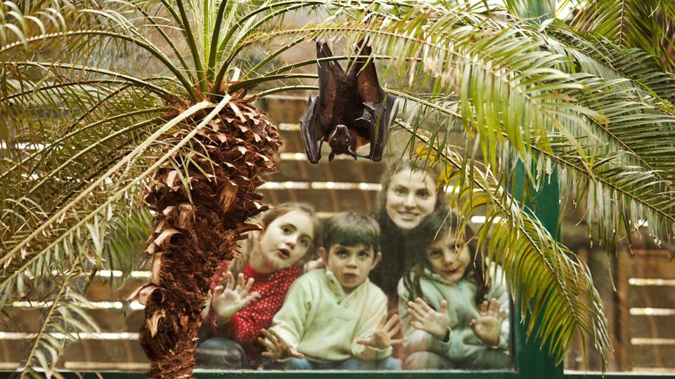 Visita a Bioparque Temaiken con Entrada y Traslado foto 6