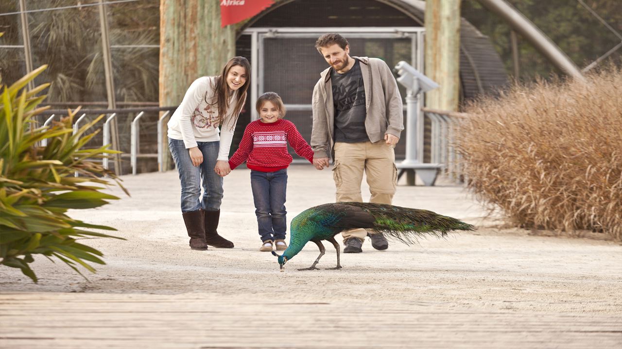 Temaiken Zoo (7)
