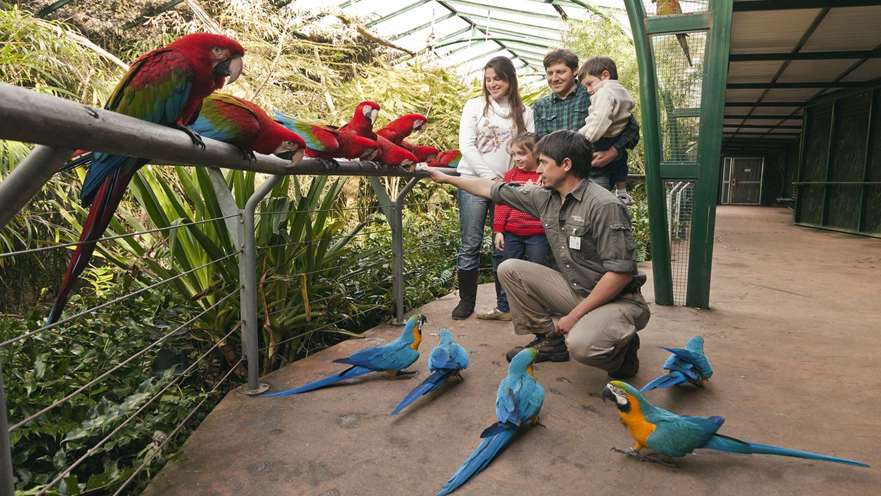 Temaiken Zoo (1)