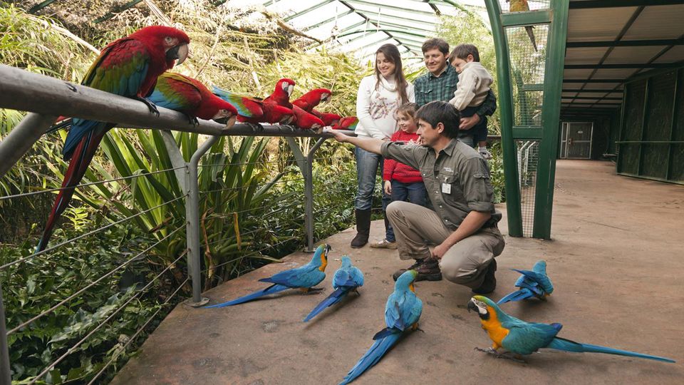 Visita a Bioparque Temaiken con Entrada y Traslado foto 3