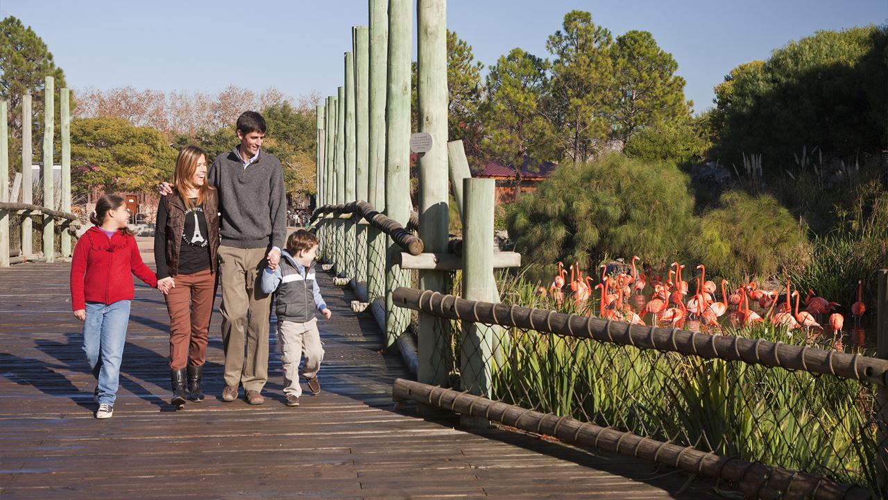 Temaiken Zoo (8)