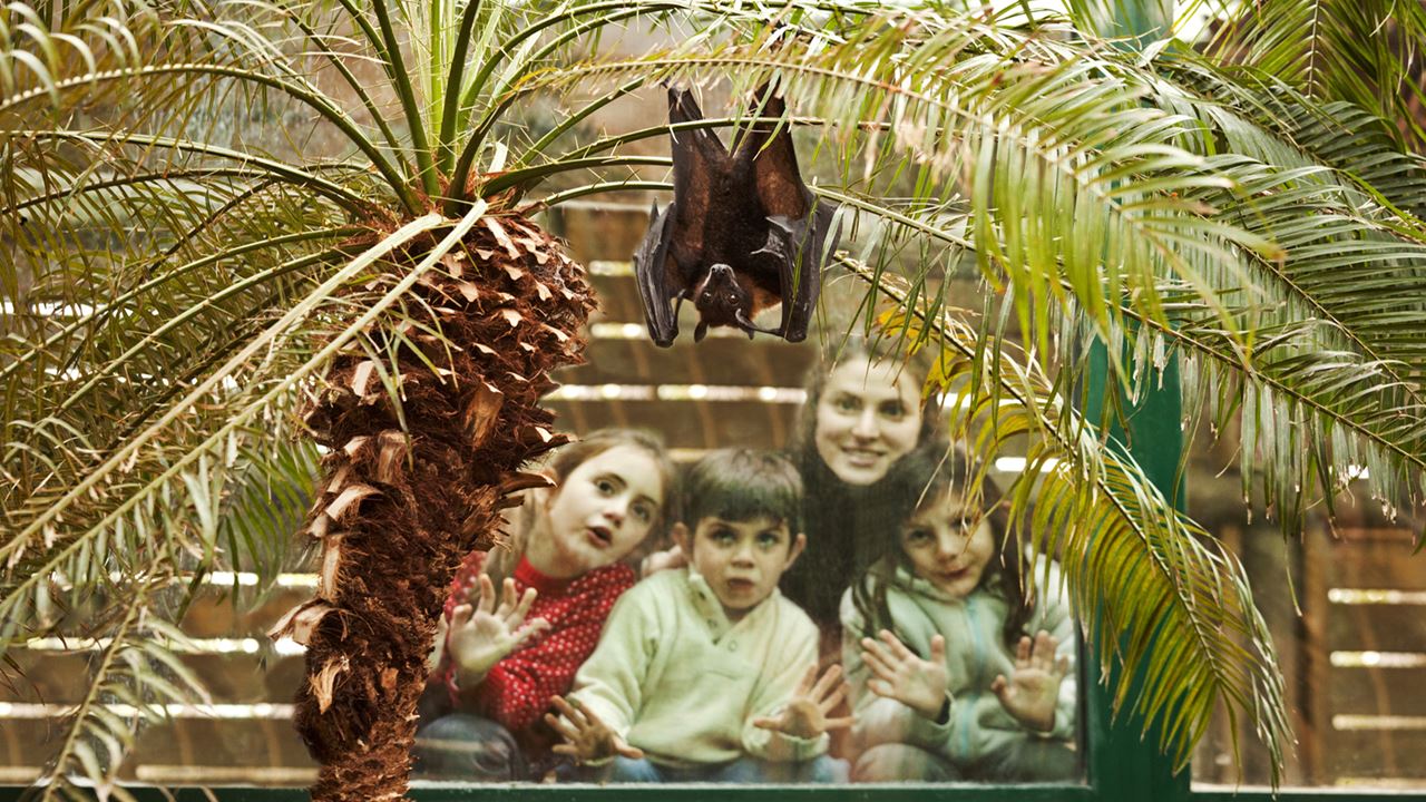 Temaiken Zoo (5)