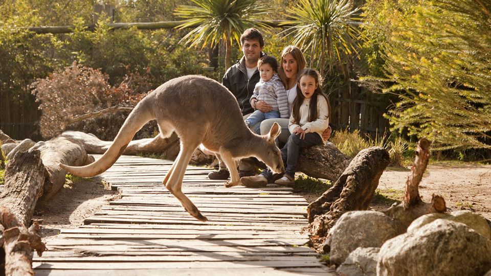 Visita a Bioparque Temaiken con Entrada y Traslado foto 4